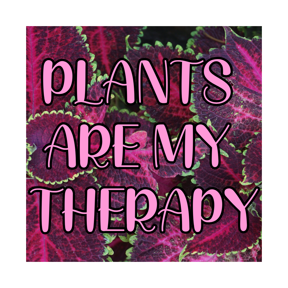 2"x2" Plant Life