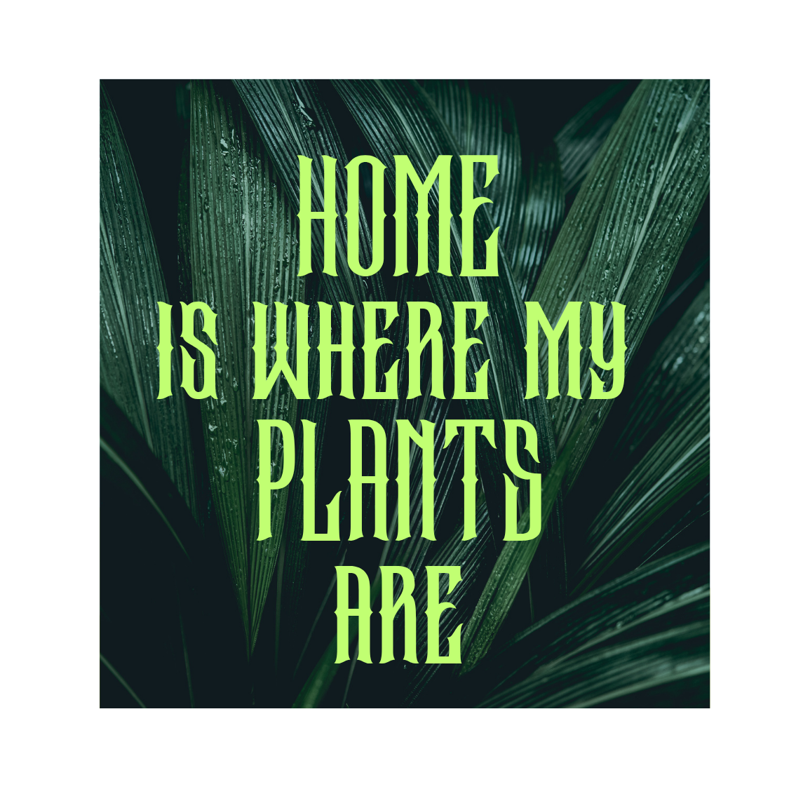 2"x2" Plant Life