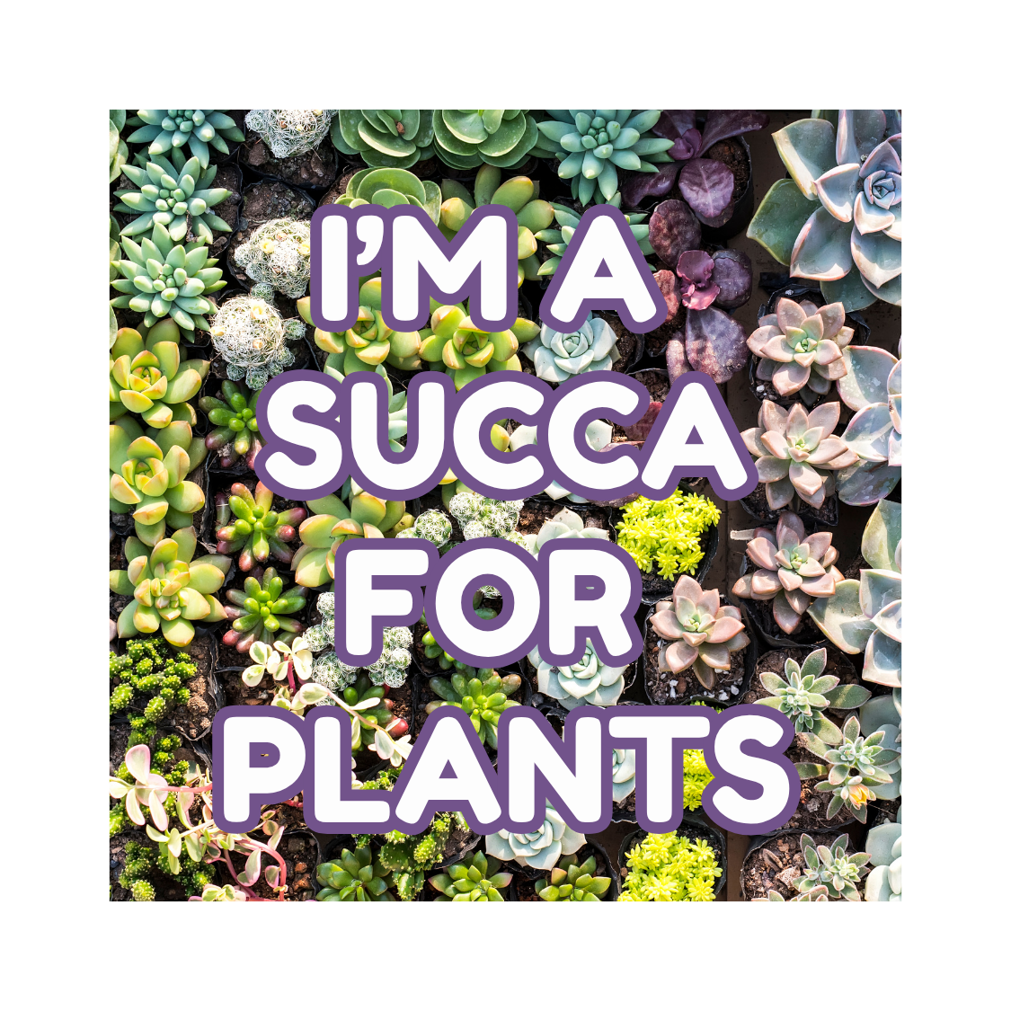 2"x2" Plant Life